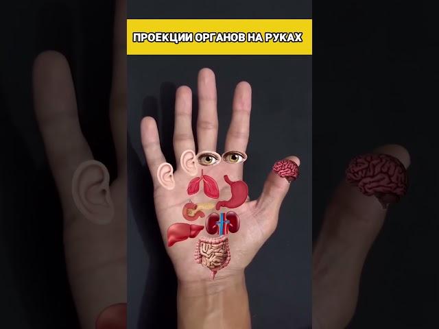 #исцеление #здоровье #гармония #оздоровление #целительство #целитель #медитация #акупунктура