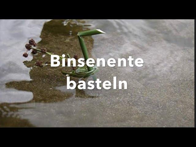 Kinder Outdoor basteln: Eine Binsenente