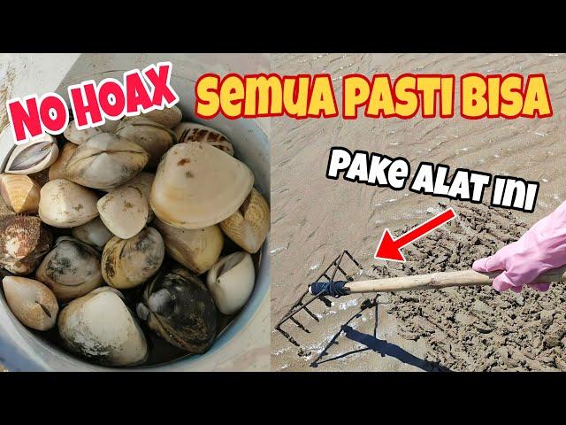 Cari kerang kapah pake alat ini, PASTI DAPAT!