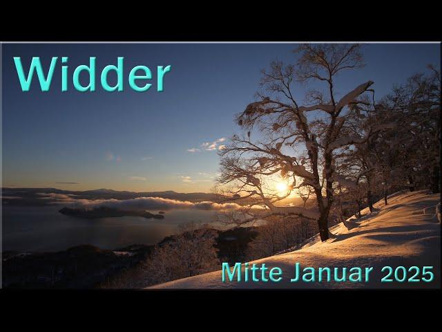  Widder - Mitte Januar 2025   -  Zu weit gegangen  -