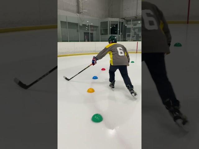 Hockey Stickhandling Skills Practice