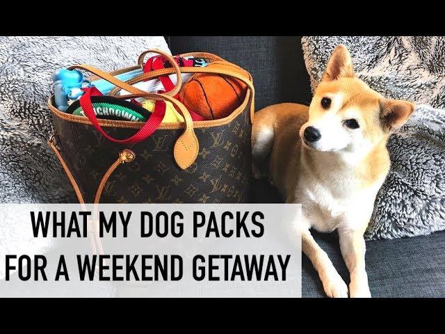 WHAT'S IN MY DOG'S LOUIS VUITTON BAG | PACKING FOR A WEEKEND TRIP | hollyannaeree x eeveeinu