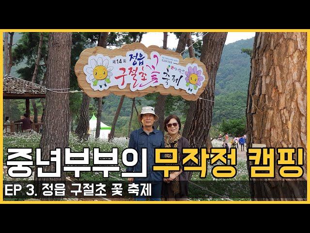 정읍구절초 축제 캠핑카 여행  |  세리정 I 힐링여행