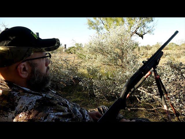 Hunting Whitetail Deer With a 12 Gauge Shotgun