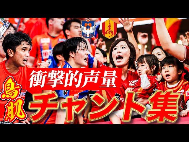 【鳥肌必至！熱き両サポーターの応援】ルヴァンカップ決勝 名古屋グランパス VS アルビレックス新潟 チャント集