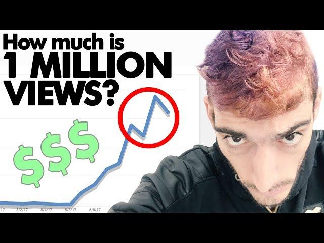 HOW MUCH MONEY I MADE FROM 1 MILLION VIEWS