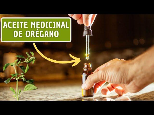 Como Hacer Aceite Medicinal De ORÉGANO En Casa / Grandes Beneficios