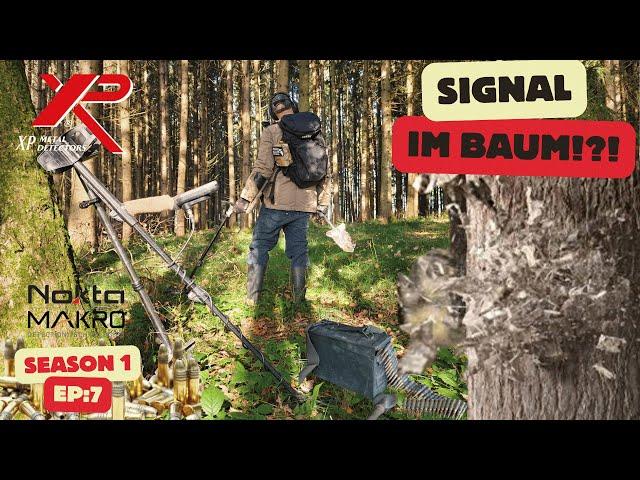 UNFASSBAR! Schatzsignal IM Baum - Nokta Legend - XP DEUS