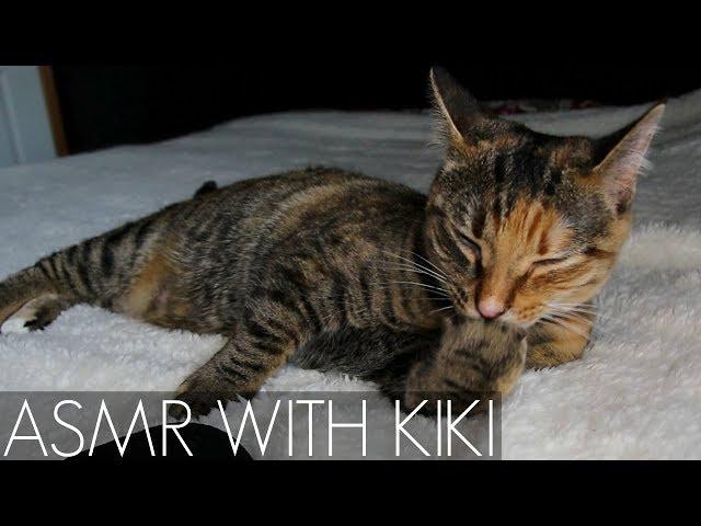 ASMR - Cat Purring, Grooming, Licking, & Eating  LOOPED // No Talking