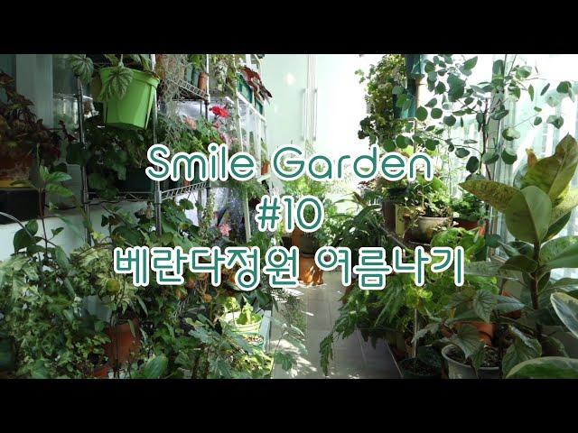 Smile Garden #10 베란다정원 여름나기. 뜨거운 여름~ 저는 이렇게 보내요 