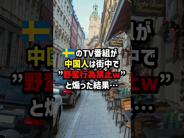 スウェーデンのTV番組が中国人は街中で「野蛮行為禁止w」と煽った結果… #海外の反応