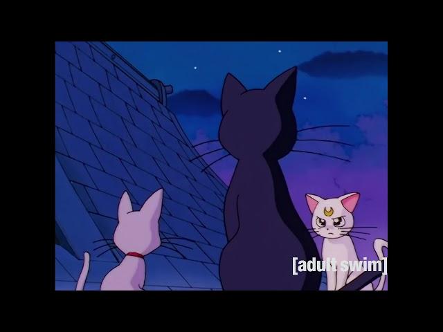 Sailor Stars Artemis Tells Luna & Diana about Nehelenia's Mirror Johnny Yong Bosch