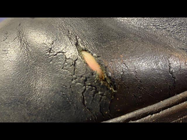 How to Fix Old Leather Shoes.