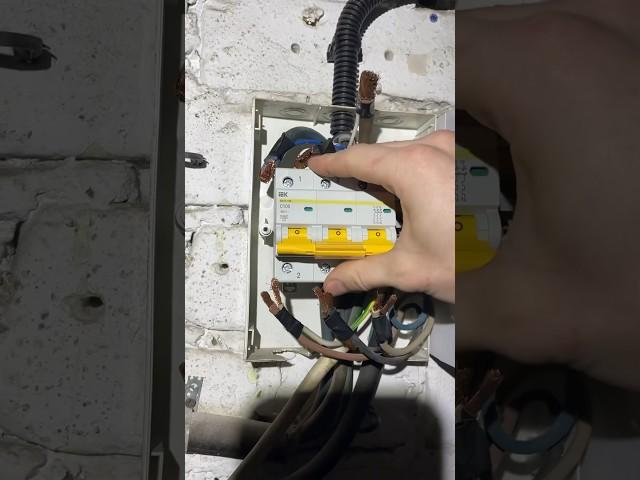 Жду комментов про отсутствие гильз на проводах) #электрика #интересно #iek #познавательное