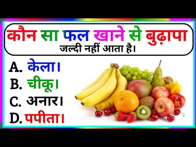 Hindi General knowledge Questions || Gk Questions || Gk in Hindi || Top Gk || Gk Rk3.