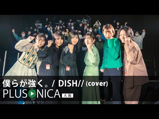 僕らが強く。 / DISH//  (cover)