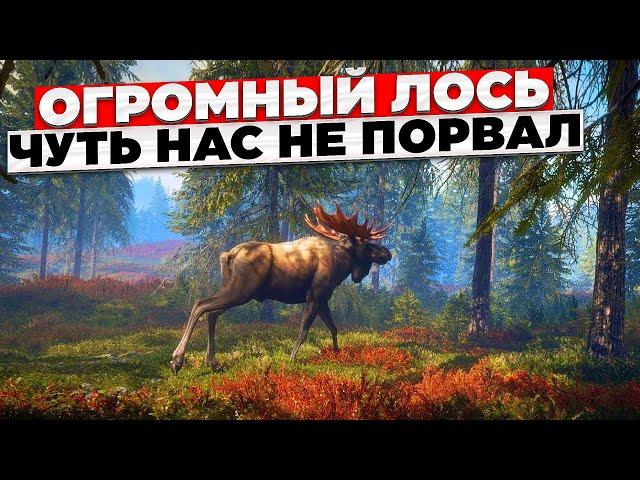 ОГРОМНЫЙ ЛОСЬ ЧУТЬ НЕ РАЗОРВАЛ - the hunter call of the wild !!! 