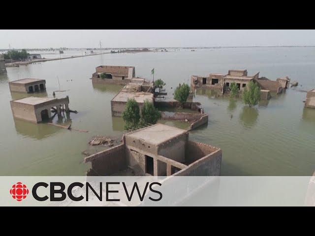 Damage in deadly Pakistan flooding exceeds $10B US, officials say