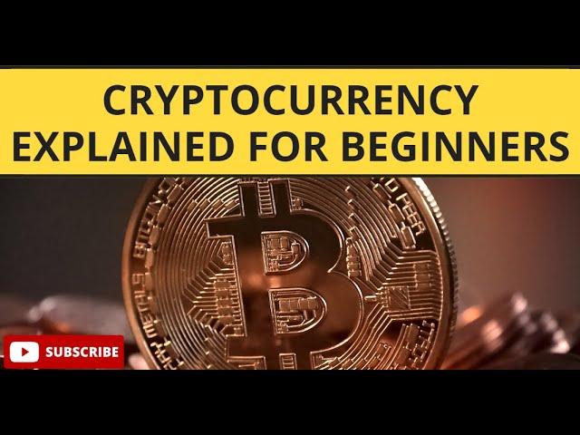 Cryptocurrency Explained for Beginners: Risks and Rewards