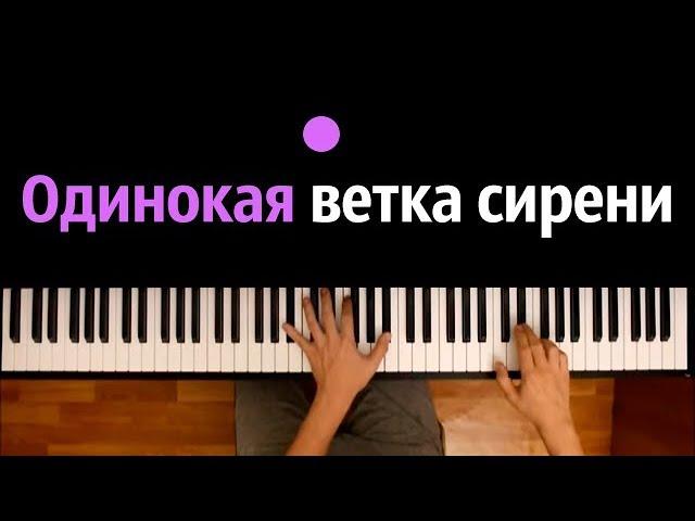 Валерий Залкин - Одинокая ветка сирени ● караоке | PIANO_KARAOKE ● ᴴᴰ + НОТЫ & MIDI