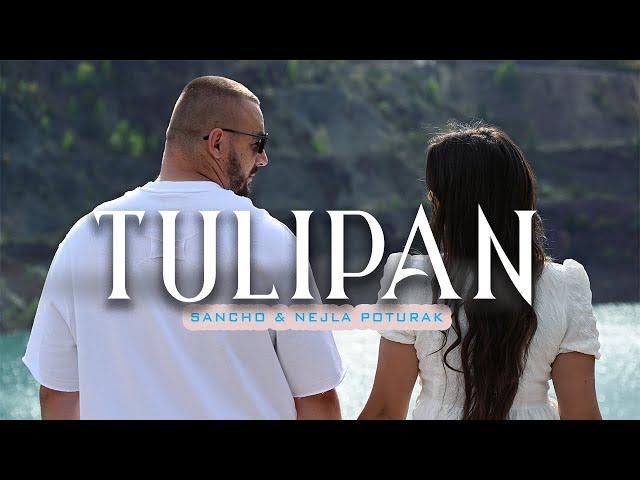 SANCHO & NEJLA POTURAK - TULIPAN (OFFICIAL VIDEO) 2024