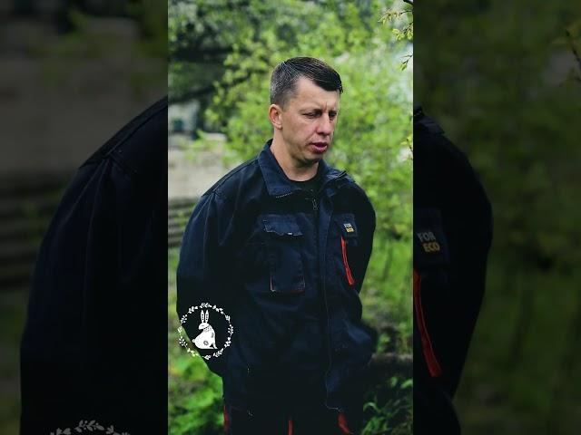Про болезни деревьев. Уход за садом. Полезные советы.