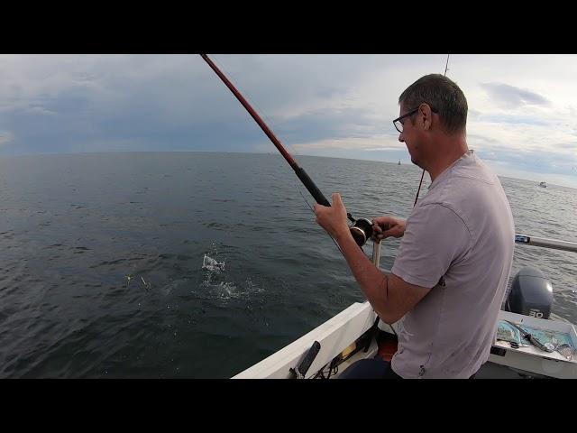 Boat fishing  Swansea Bay