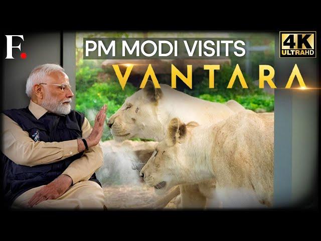 India's PM Modi Visits 'Vantara' Wildlife Rescue Centre in Gujarat | Anant Ambani | 4K | N18L