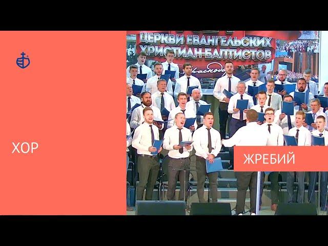 "Жребий" - Хор