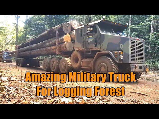 Amazing Trailer Truck Oshkosh M1070 HET 6x6 Military Truck For Logging Forest