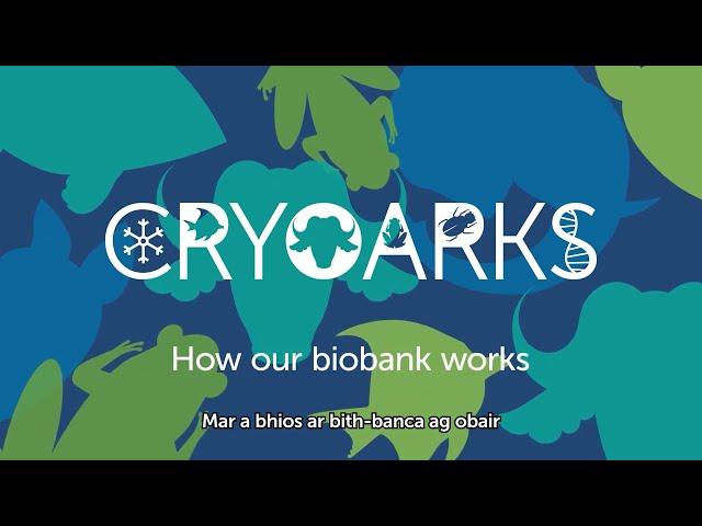 CryoArks – Bith-bancadh bheathaichean airson rannsachadh is glèidhteachas – fo-thiotalan Gàidhlig