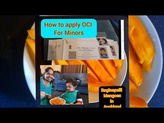 How to apply OCI(for baby)/Banginapalli Mangoes in New Zealand