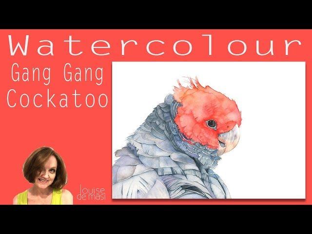 How to paint a Gang Gang Cockatoo in Watercolor- Part 3- Louise De Masi