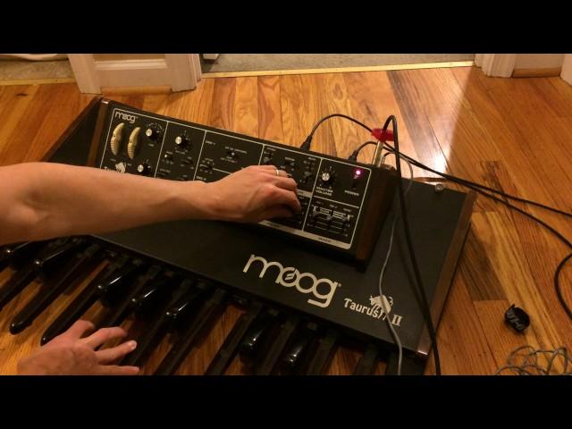 Moog Taurus II pedals (controls)