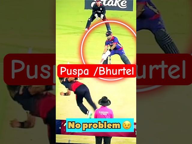 Puspa Ft Kushal Bhurtel ️Best batsman of Nepal cricket || Nepal vs USA || sujan Pandey