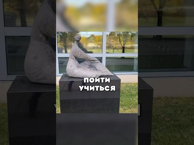 «Бесплатное» обучение на врача в Америке  целевое #медицина #больница #гормоны