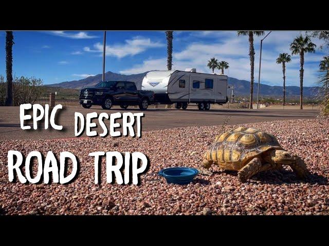 RV Life: Desert Road Trip with my Tortoise and my first Overnight Stay in a Walmart Parking Lot