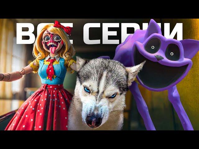 ВСЕ СЕРИИ СНЫ КОТА ДРЕМОТА!! МЕГАСБОРНИК!! Хаски Бандит Говорящая собака