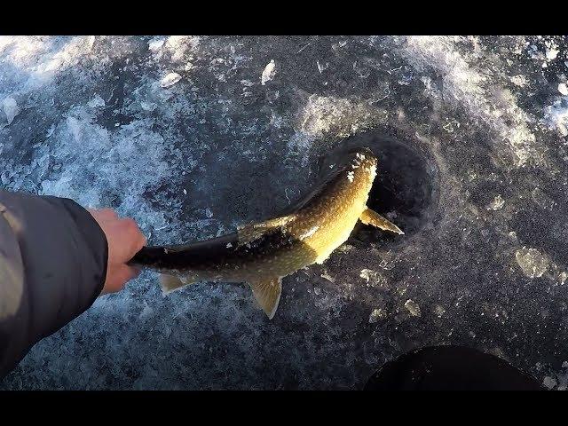 Lake Trout Ice Fishing Adventure! (Schroon Lake NY)