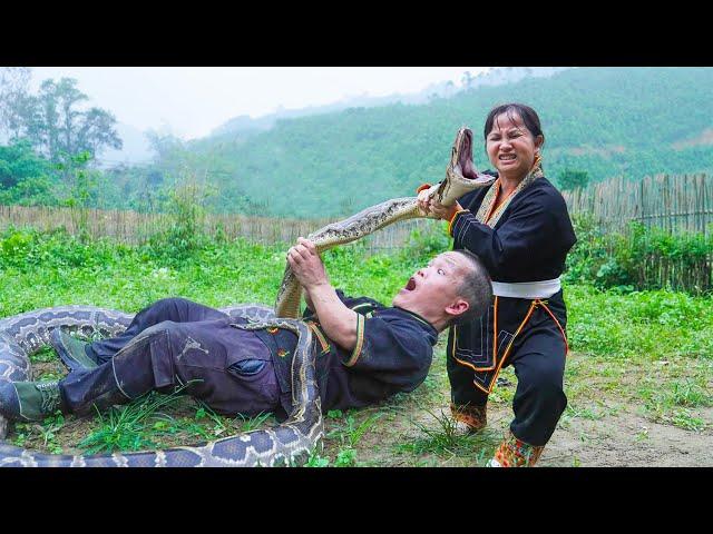 Dwarf family fights with a giant python while erecting fence construction | Survive in the wild