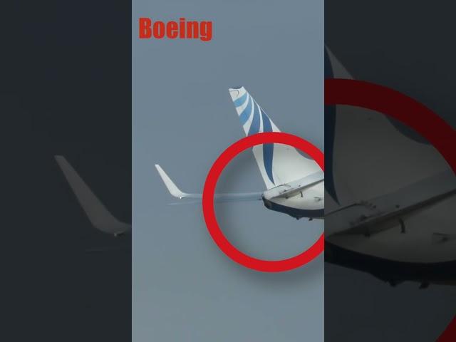 Как отличить Boeing от Airbus??? #boeing #airbus #short #авиация #факты