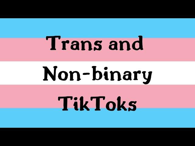 20 minutes of trans and non-binary tiktoks