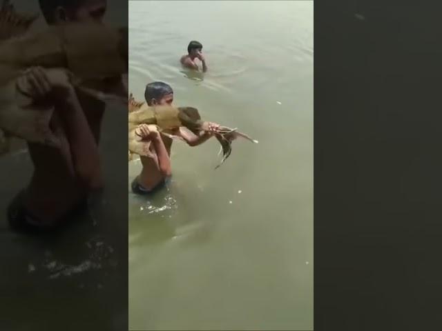 fishing fish by a mallah boy in ganga river #fishing  #shorts