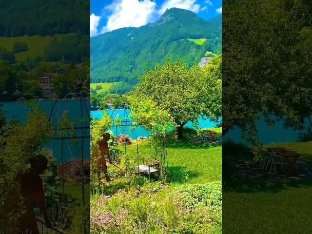 Красочное утро в швейцарском Лунгерне