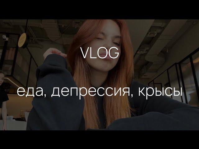 VLOG | мой день | работа | новый проект | выгорание | вкусно и точка