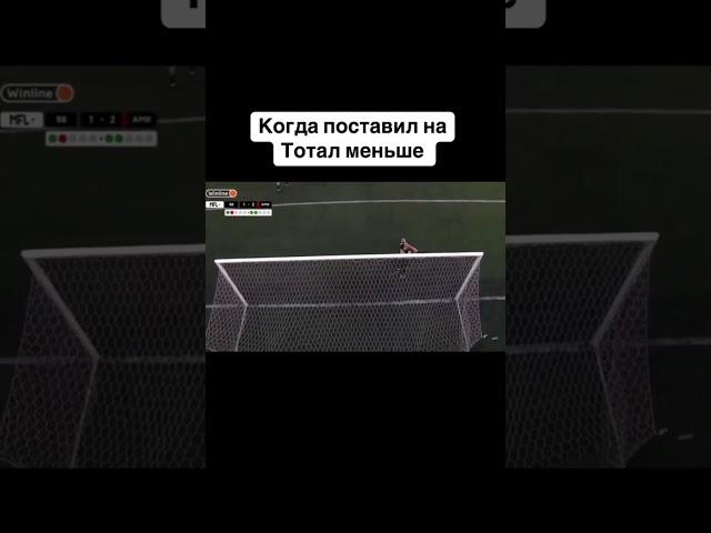 Отправь кривоногому другу #футбол #лиганаций #мем #прикол #ржака #хоккей #ставки #прогнозы