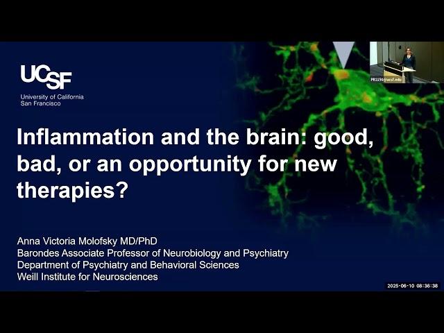 Inflammation and the Brain: Good, Bad, or an Opportunityfor New Therapies?