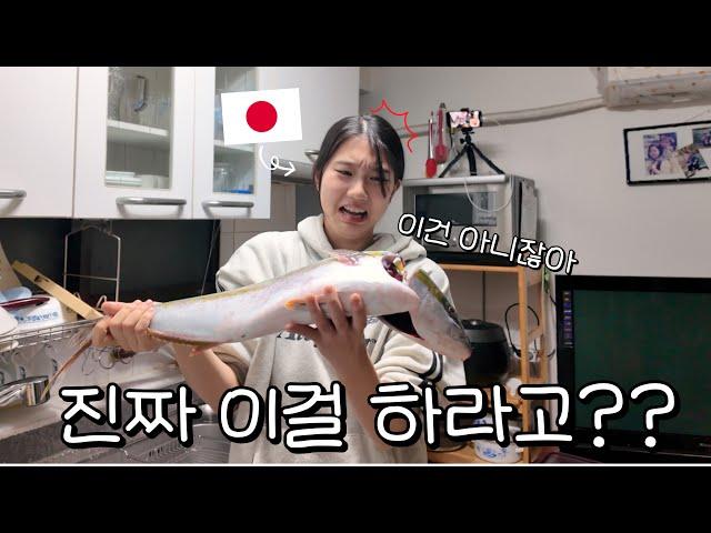 【한일커플】 과연? 22살 일본인 여자 한국 시댁에서 회 뜰 수 있을 것인가? (feat.시아버지)