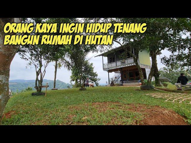 ORANG KAYA BOSAN HIDUP DI KOTA BANGUN RUMAH DI HUTAN