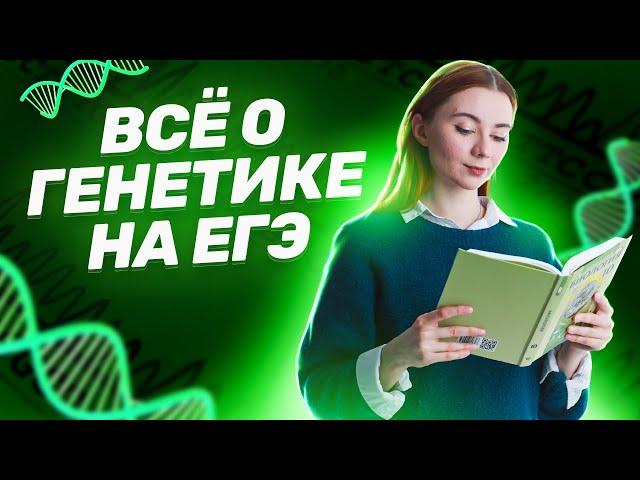 Генетика для ЕГЭ по биологии: основные понятия, законы Менделя, генетические задачи | Умскул